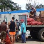 zica-en-cuba-el-estornudo8