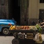 Foto: El Estornudo