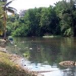 Río Almendares