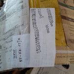 la-bolita-el-estornudo-(4)