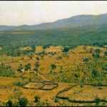 Juan c borjas,Sabana arbolada, Namibia 1988,174