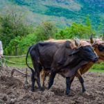 Brielo-Photo-14
