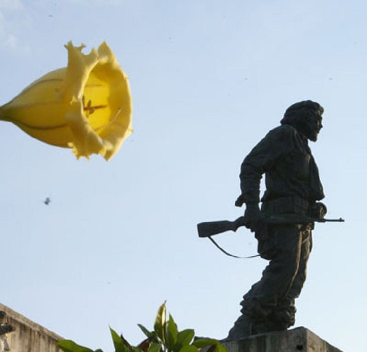 Monumento del Che con una flor de campana amarilla