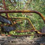 chernobyl16