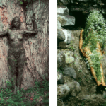 ana-mendieta-arbol-de-la-vida