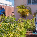 From the series «Miami’s Urban Shrines»
