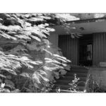 cid-blindsight-20-II