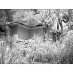 cid-blindsight_10