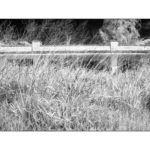 cid-blindsight_11