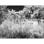 cid-blindsight_12