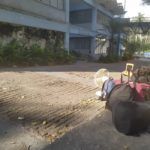 centro4