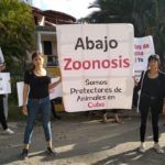 zoonosis