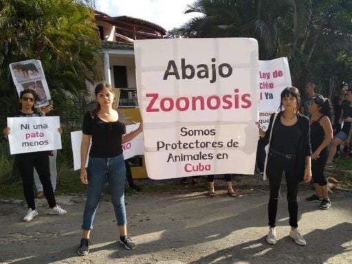 Beatriz Batista (izq) y Aylín Sardiñas (der) en la protesta frente a Zoonosis / Foto: Facebook