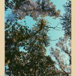 JHB days of blue skies