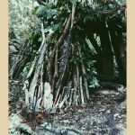 JHB land lenape 2 copy