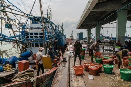 Hombres descargan pescado de barcos transportados en Kantang