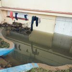 Huracán Irma, 2017 (1)