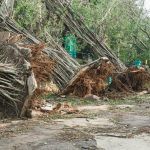 Huracán Irma, 2017 (12)