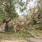Huracán Irma, 2017 (13)