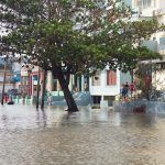 Huracán Irma, 2017 (21)