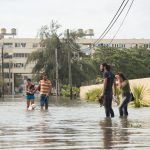 Huracán Irma, 2017 (8)