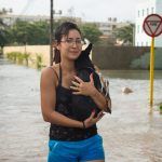 Huracán Irma, 2017 (9)
