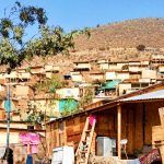 el-mirador-toma-bosque-hermoso-en-Lampa-afueras-de-santiago-camilo-castellanos