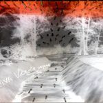 i-maroselli-2-portada