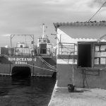 Muelle