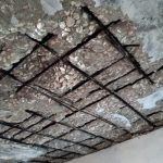 IMG-20220205-WA0014-1