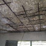 IMG-20220205-WA0016
