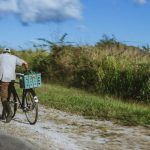 on the road 11