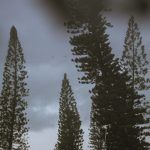 on the road 3