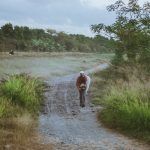 on the road 8