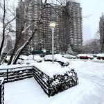 taquechel-nyc-nieve-storm-18