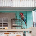 3 Georgetown, Guyana