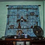 casa-luis-armando-cruz-4