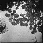 untitled..-juan-enrique-rojas
