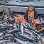 El rey de los peces 18