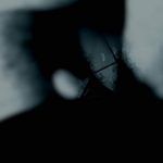 foto-texto-palao-cortesia-alberto-garrandes-2