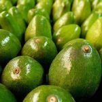 palta-perú