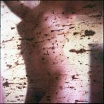 S-T de la serie -In Vitro- 02
