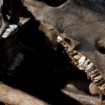 libaciones-laura-capote-mercadal-12
