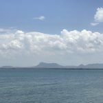 IMG-4124