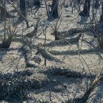 everglades-mayo-2023-taquechel-1
