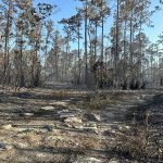 everglades-mayo-2023-taquechel-11