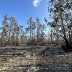 everglades-mayo-2023-taquechel-12