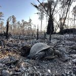 everglades-mayo-2023-taquechel-13