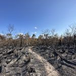 everglades-mayo-2023-taquechel-2