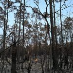 everglades-mayo-2023-taquechel-23